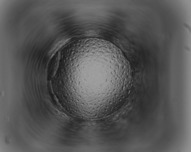 X0000091530194200709071049
