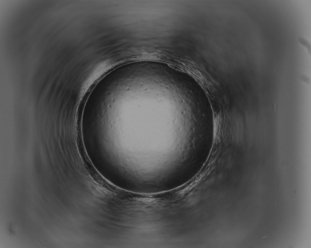 X0000091530195200709071049