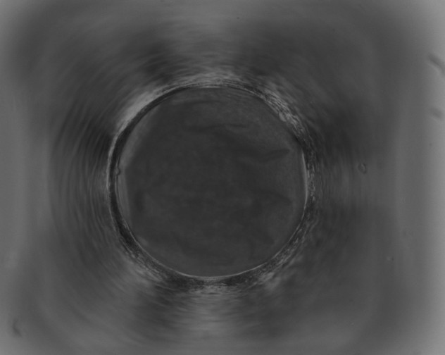 X0000091530196200709071049