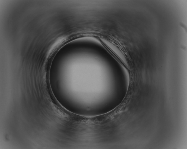 X0000091530197200709071049