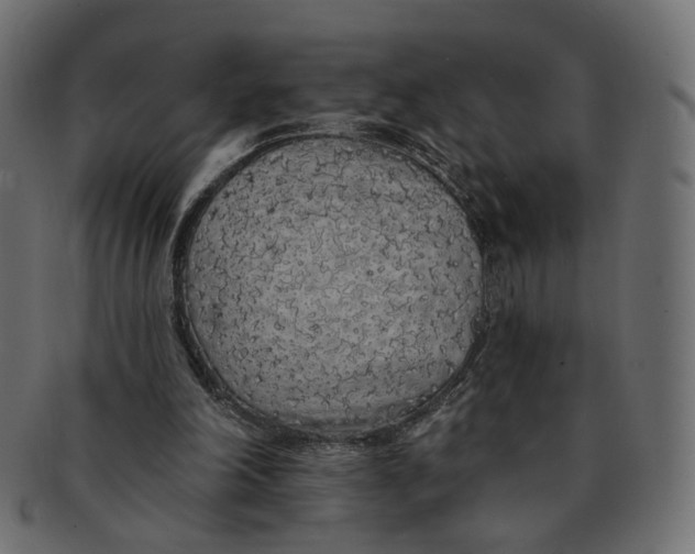 X0000091530198200709071049