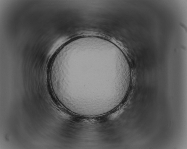 X0000091530199200709071049