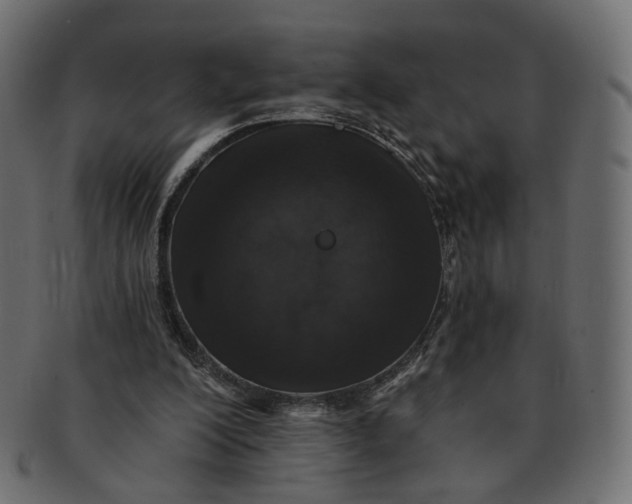 X0000091530200200709071049