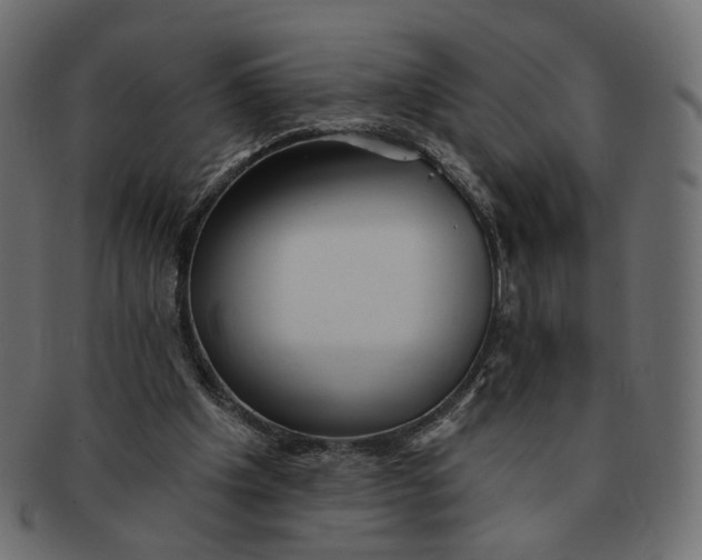 X0000091530201200709071049