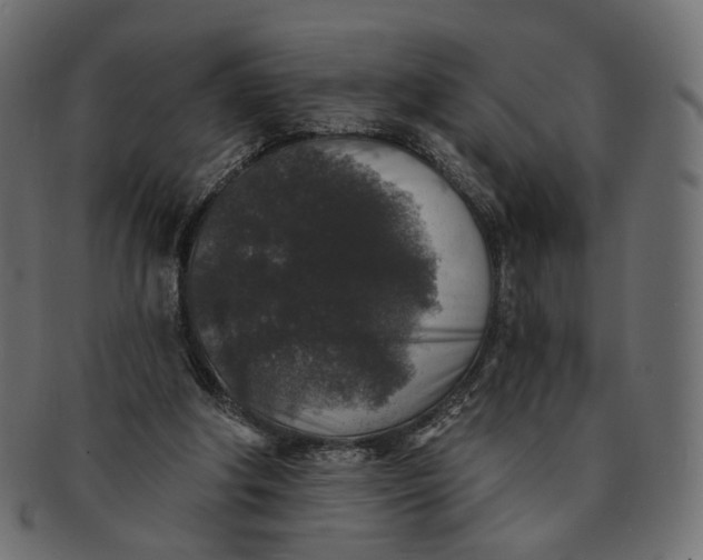 X0000091530202200709071049