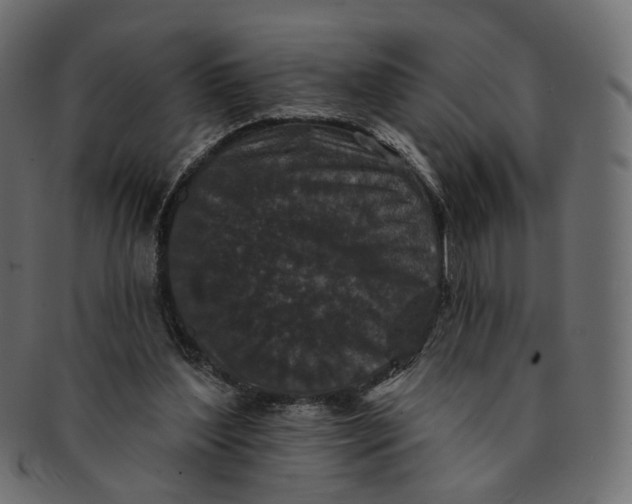 X0000091530204200709071049