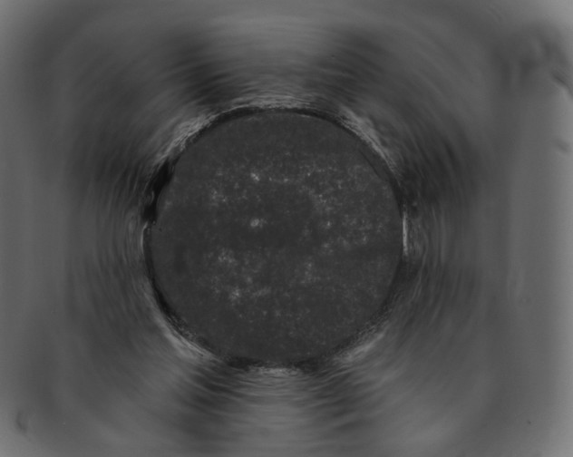 X0000091530205200709071049