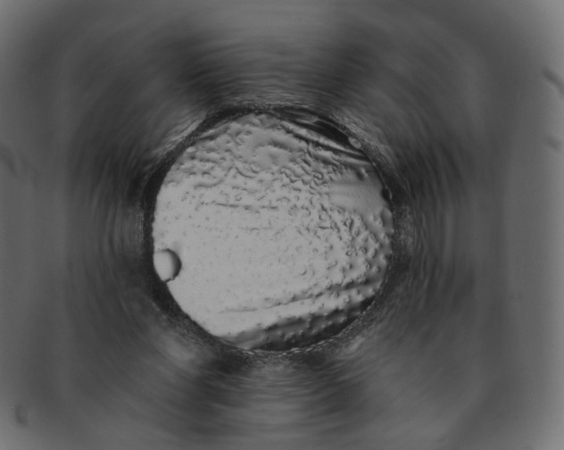 X0000091530206200709071049