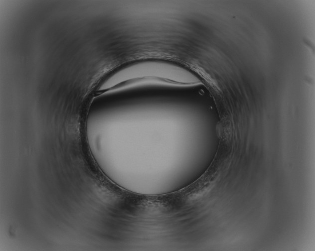 X0000091530207200709071049