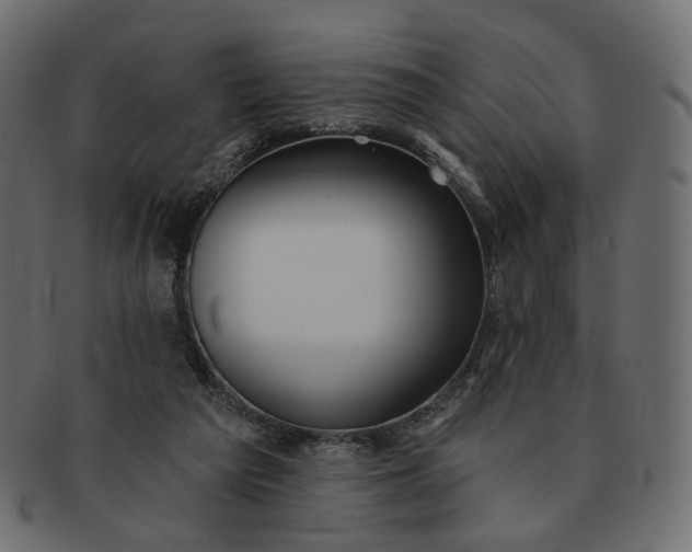 X0000091530209200709071049