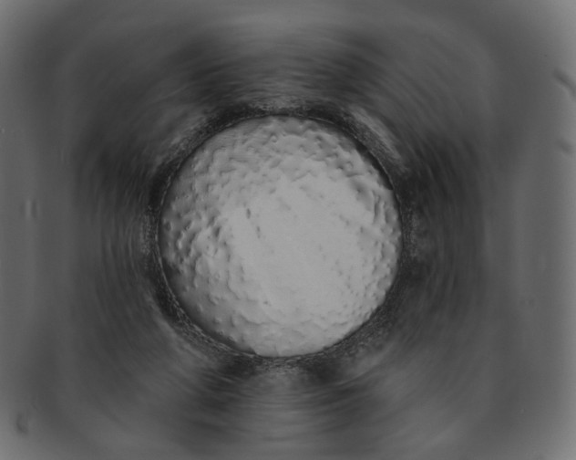 X0000091530210200709071049