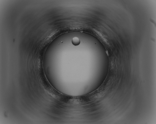 X0000091530211200709071049