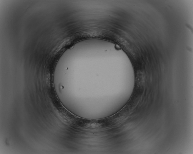 X0000091530212200709071049