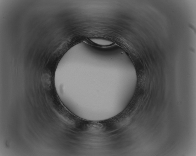 X0000091530215200709071048