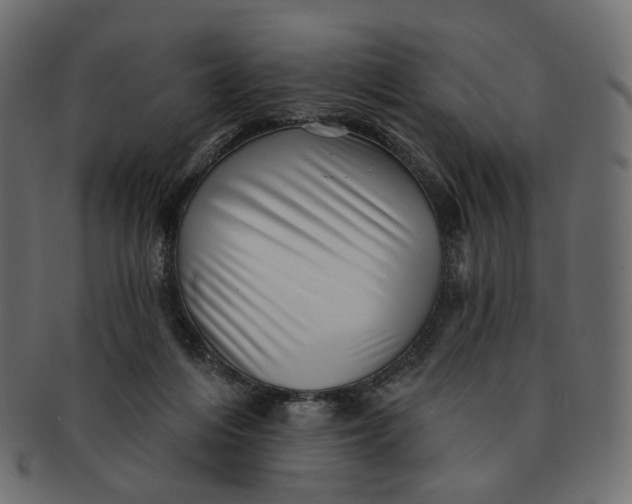 X0000091530216200709071048