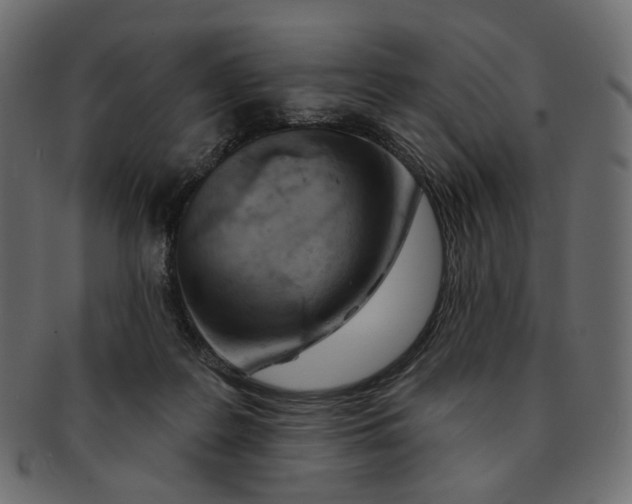 X0000091530219200709071048