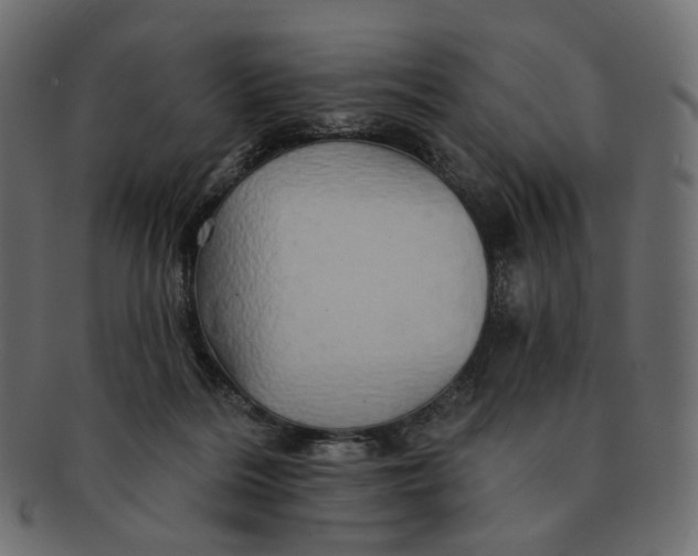 X0000091530220200709071048