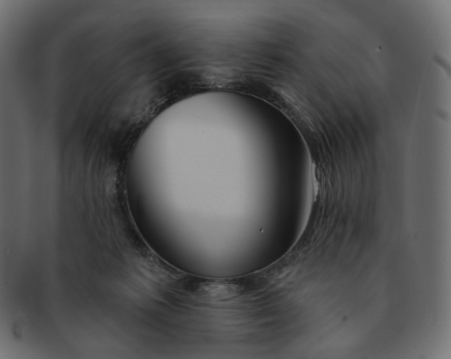 X0000091530221200709071048