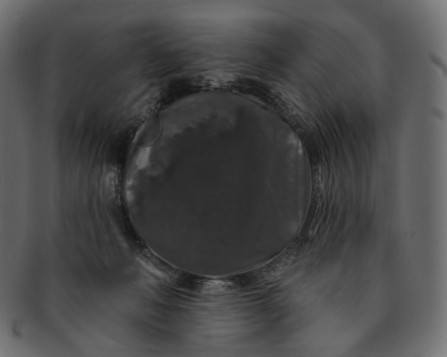 X0000091530222200709071048
