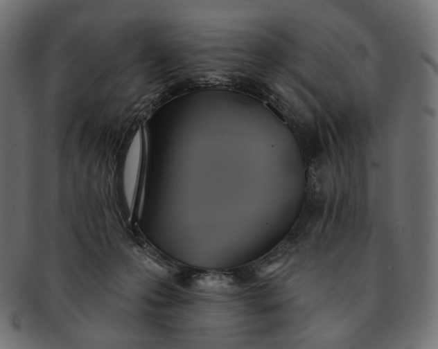 X0000091530223200709071048