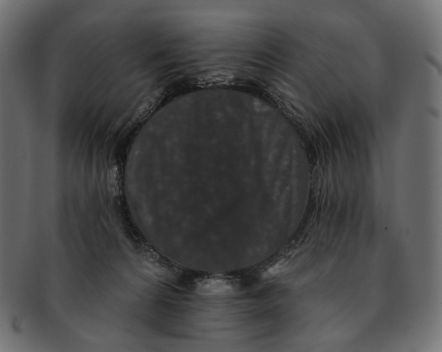 X0000091530224200709071048