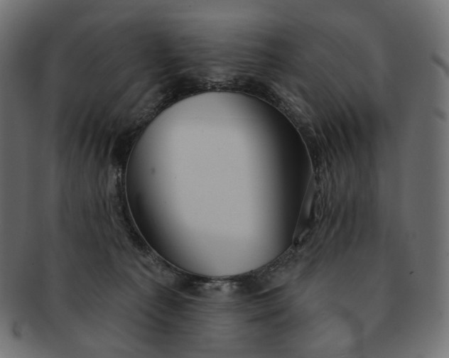 X0000091530225200709071048