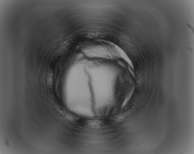 X0000091530226200709071048