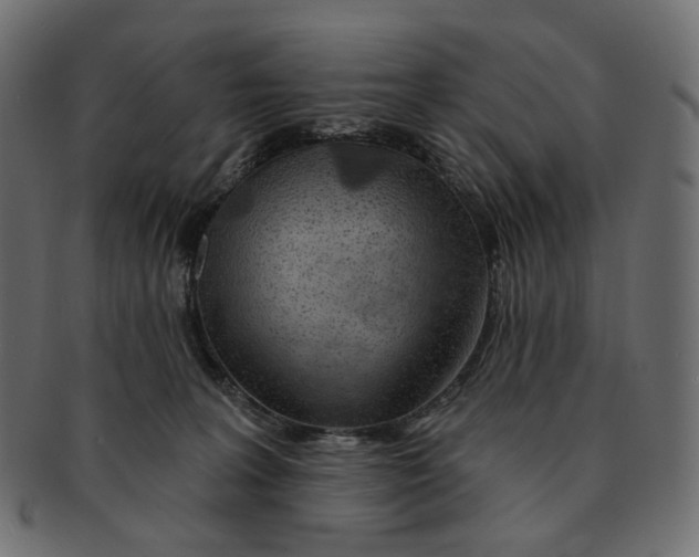X0000091530227200709071048
