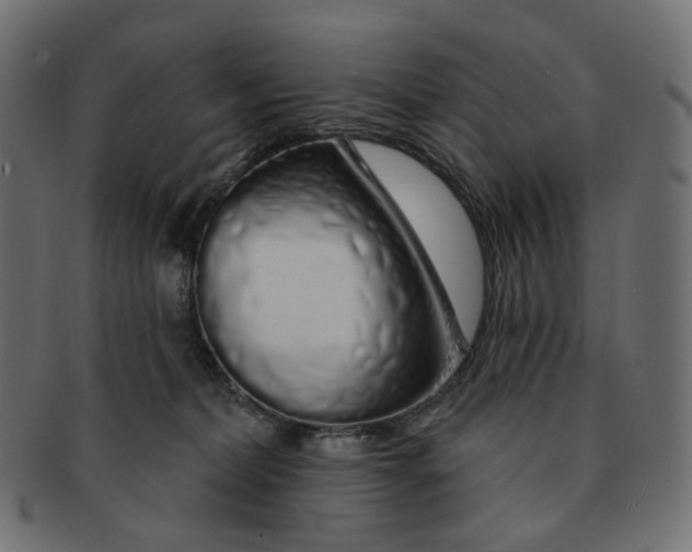 X0000091530228200709071048
