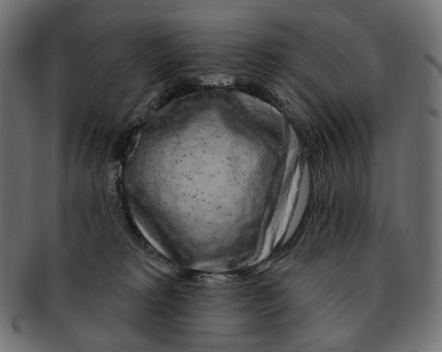 X0000091530229200709071048