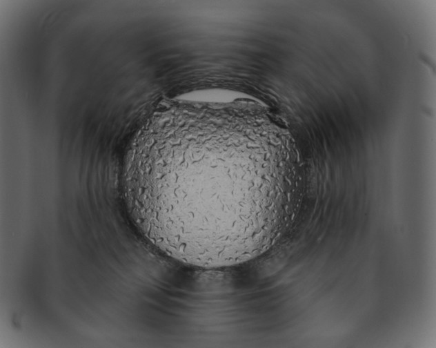 X0000091530230200709071048