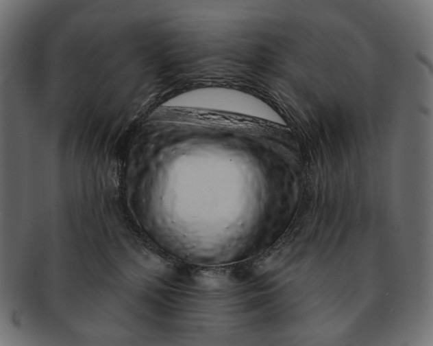 X0000091530232200709071048