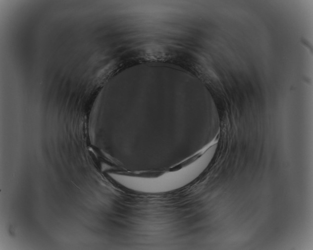 X0000091530233200709071048