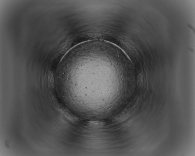 X0000091530234200709071048