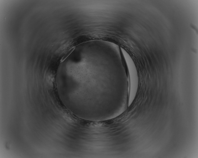 X0000091530235200709071048