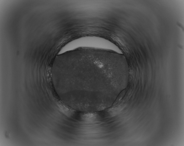 X0000091530237200709071048