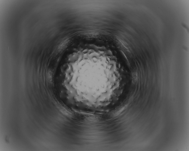 X0000091530238200709071048