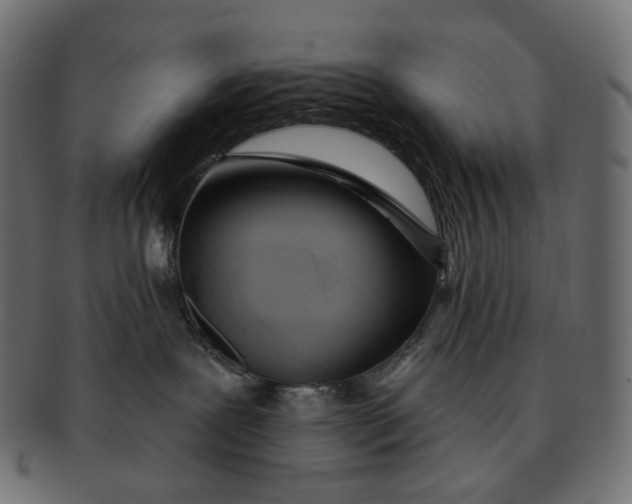 X0000091530239200709071048