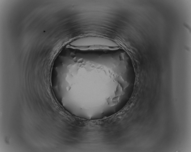 X0000091530241200709071047