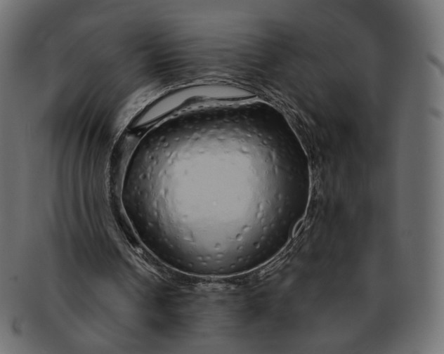 X0000091530242200709071047