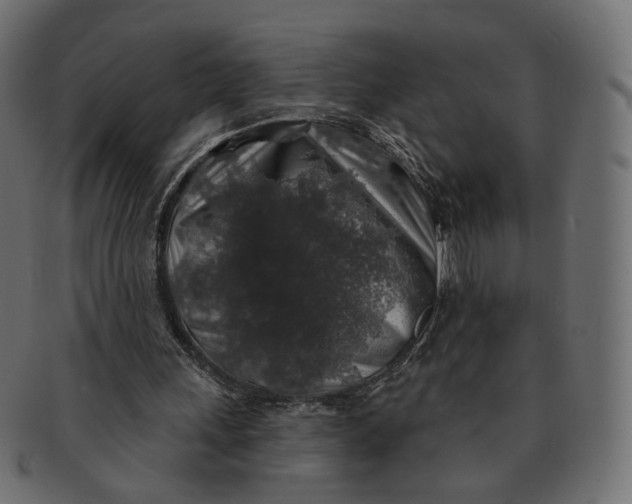 X0000091530243200709071047