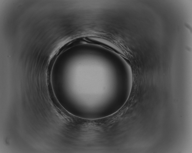 X0000091530244200709071047