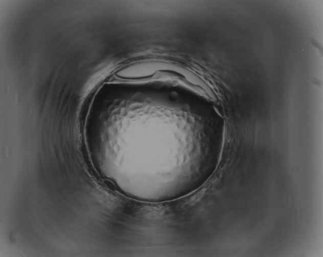 X0000091530245200709071047