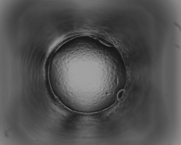 X0000091530246200709071047