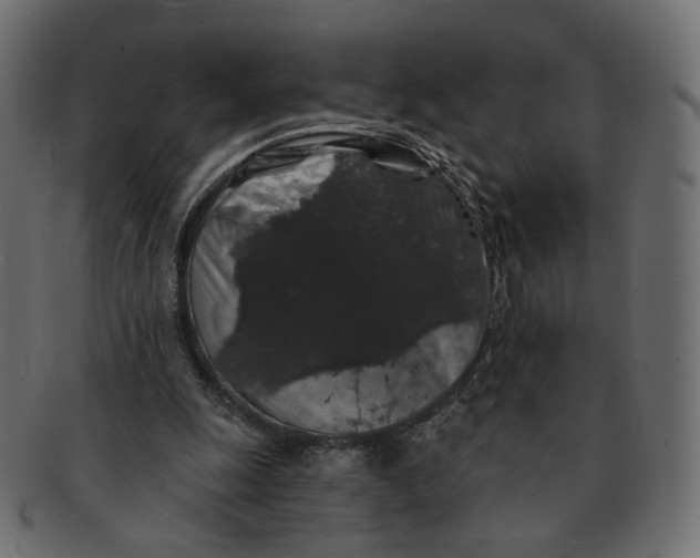 X0000091530247200709071047