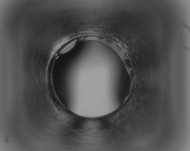 X0000091530248200709071047