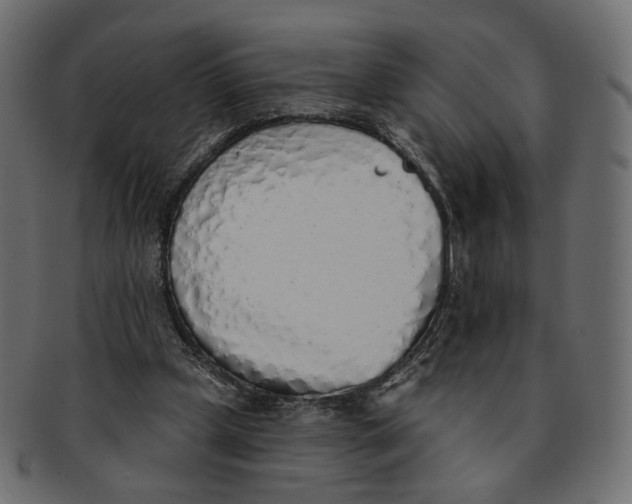X0000091530249200709071047