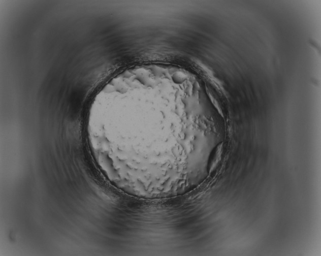 X0000091530250200709071047