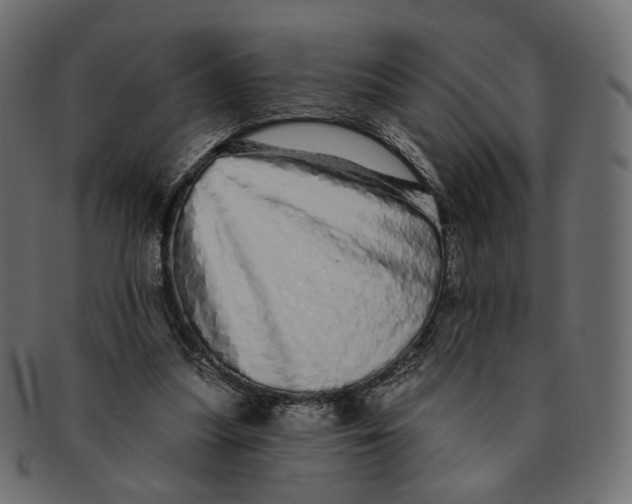 X0000091530251200709071047