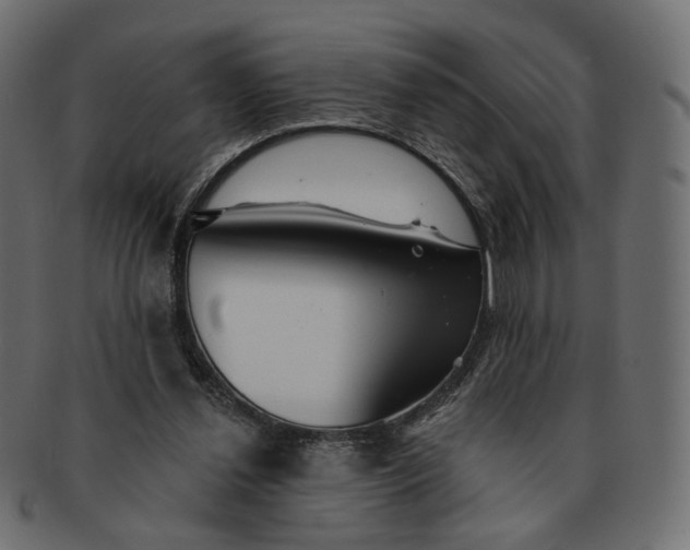 X0000091530252200709071047